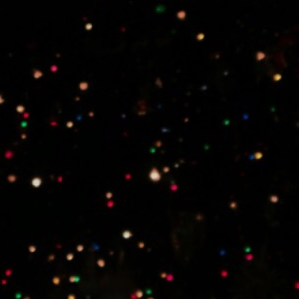 Meet your Posher, Maddie